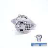 Alternator Solé Diesel Mini 11 | Mini 17 | Mini 26 | Mini 29 | Mini 48 – Vetus M2.04 / M2.06 / M2.C5 / M2.D5
