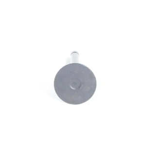 Zawór wlotowy Beta Marine Beta 50 – Nanni N4.50