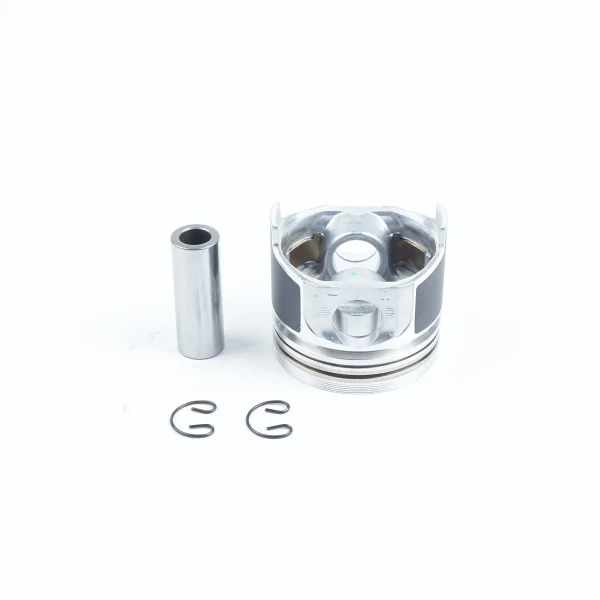 Zestaw naprawczy silnika Beta Marine Beta 38 | Beta 45T – Nanni N4.38