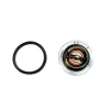 Termostat Beta Marine Beta 50 – Nanni N4.50