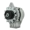 Alternator Yanmar 2GM 3GM 4JH 4LH 12V 55A